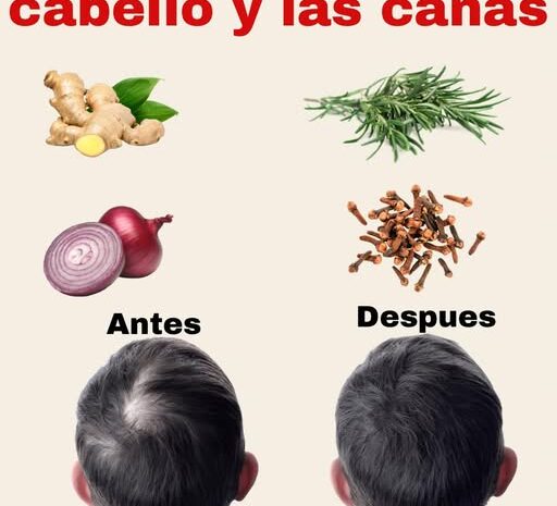 Tónico Capilar de Cebolla Romero Clavos de Olor y Jengibre para Fortalecer el Cabello