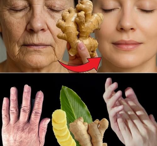 Las Sorprendentes Propiedades del Jengibre para Rejuvenecer la Piel