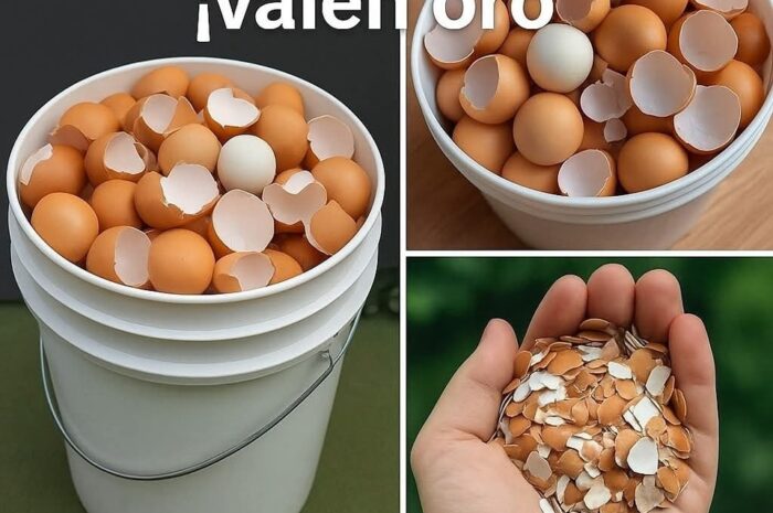 Descubre los Increíbles Usos de las Cáscaras de Huevo: Recetas y Beneficios para la Salud