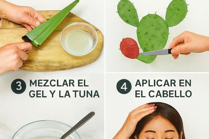 Tratamiento Casero Hidratante para el Cabello con Sábila y Tuna