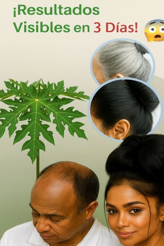 Tónico de hoja de papaya para canas y crecimiento del cabello