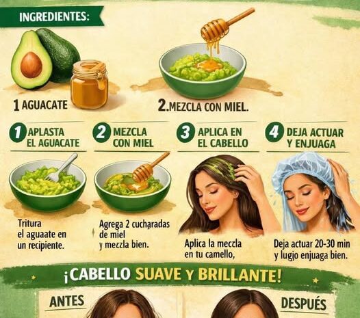 Tratamiento Casero Para Mejorar El Cabello Seco Y Sin Brillo