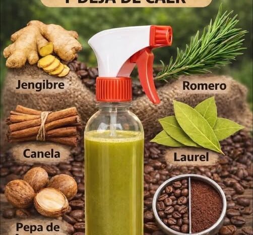 Tónico Natural para Estimular el Crecimiento del Cabello