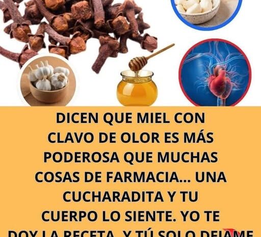 Miel Clavo de Olor y Ajo Un Remedio Natural para Fortalecer Tu Cuerpo