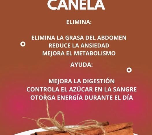 Descubre los Beneficios del Agua de Canela para tu Salud