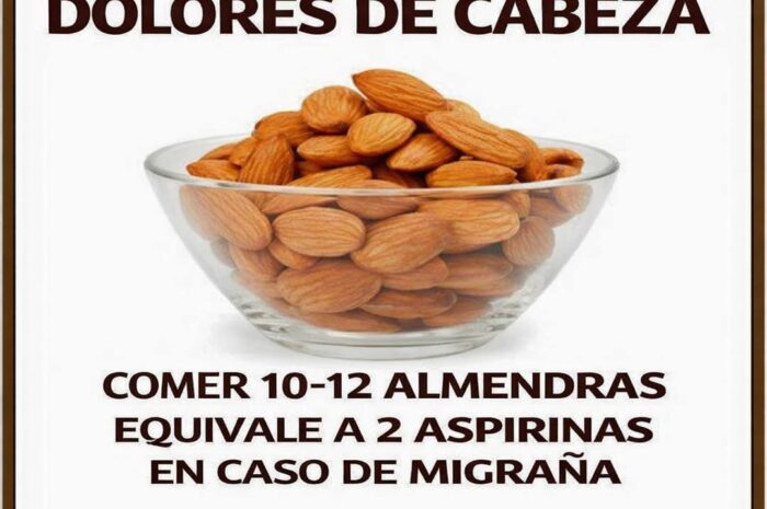 Almendras y Su Poder en el Bienestar Natural