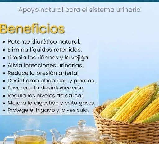 Descubre los Beneficios del Té de Barba de Maíz para tu Salud