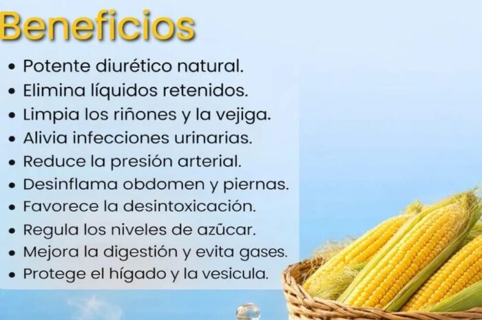 La Barba de Maíz Un Secreto Natural para Mejorar tu Salud