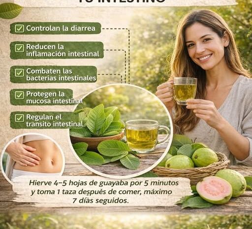 Descubre los Sorprendentes Beneficios de las Hojas de Guayaba para tu Intestino