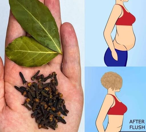 Descubre los Beneficios del Laurel y el Clavo para tu Salud y Bienestar