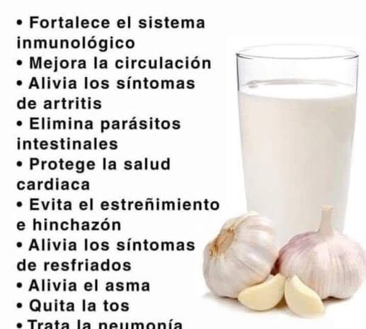 Leche de Ajo y Sus Increíbles Beneficios para la Salud