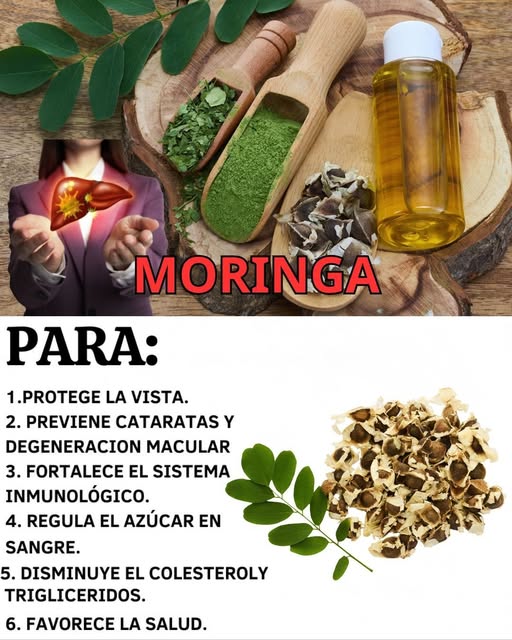 Beneficios de la Moringa para la salud
