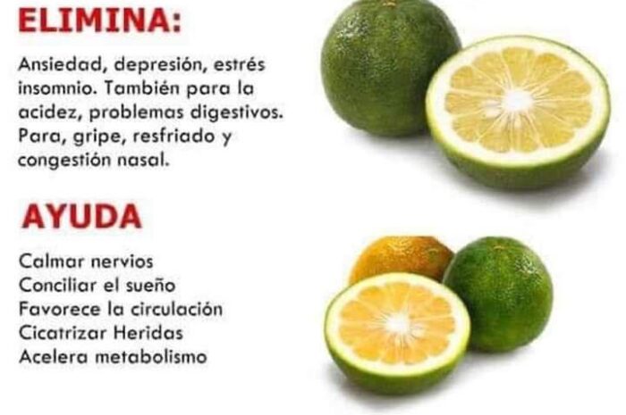 Beneficios del Té de Cáscara de Naranja Agria para la Salud