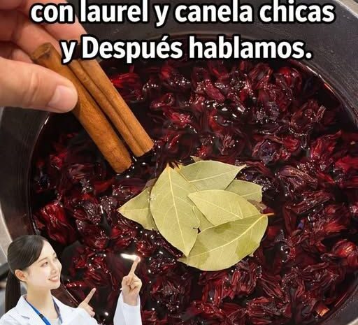 Receta de Té de Jamaica Canela y Laurel Propiedades Beneficios y Preparación