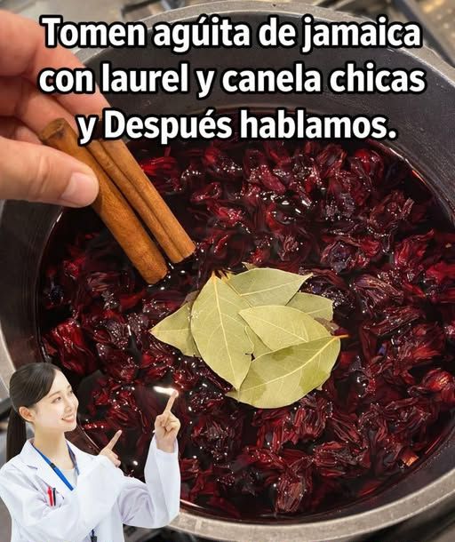 Ingredientes para preparar té de jamaica, canela y laurel
