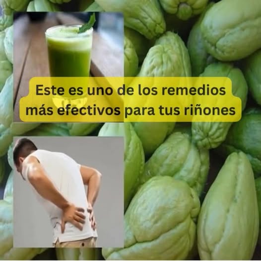 Chayota para mejorar la salud renal