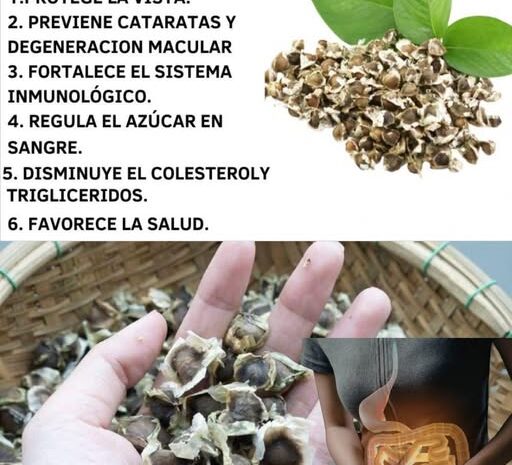 Moringa Para La Vista El Secreto Natural Para Cuidar Tus Ojos Y Mejorar La Visión