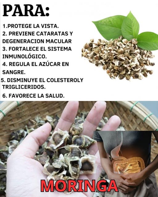 Beneficios de la moringa para la salud ocular
