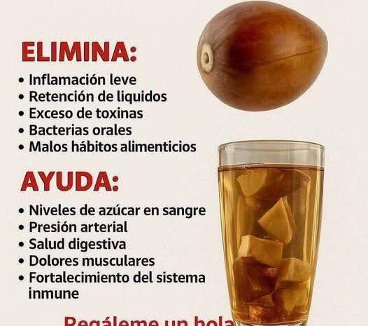 Semilla de Aguacate El Tesoro Oculto que Limpia tu Cuerpo y Protege tu Corazón