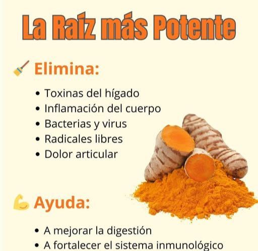 Cúrcuma fresca y en polvo