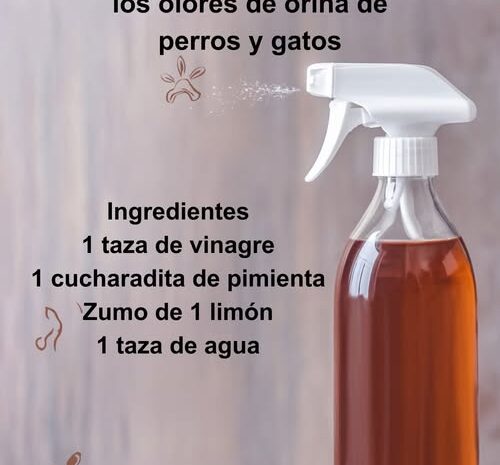 Eliminación de Olores de Orina de Mascotas con Limpiadores Naturales