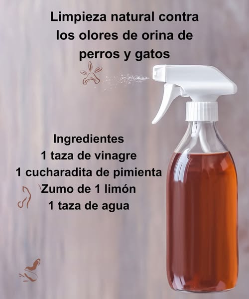 Ingredientes limpiador natural