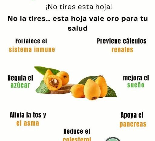 Los Beneficios Ocultos de la Hoja de Níspero Para Tu Salud