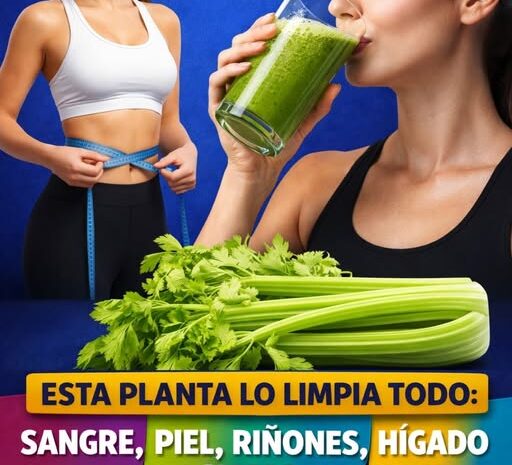 Beneficios del Té de Apio para Purificar Sangre y Regenerar la Piel