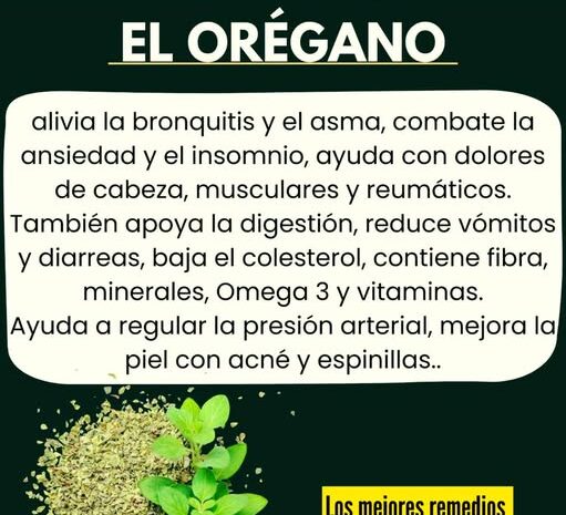 Beneficios del Orégano y Sus Recetas Naturales