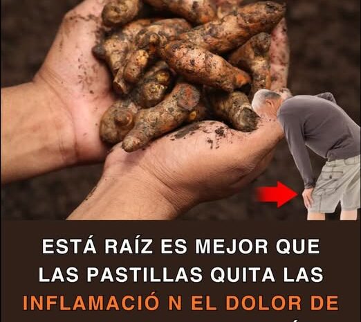 La Cúrcuma La Raíz que Desinflama Alivia y Fortalece