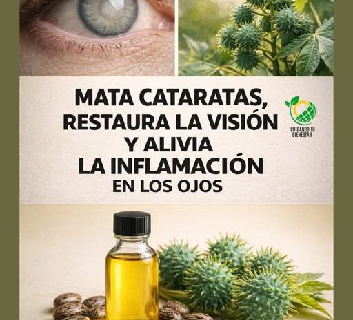 Remedios Naturales para Hidratar y Proteger tus Ojos