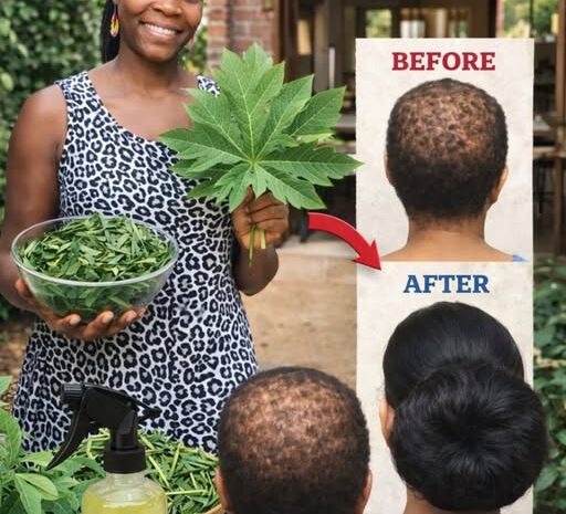 Transforma Tu Cabello Con Hojas De Papaya Un Tratamiento Asombroso
