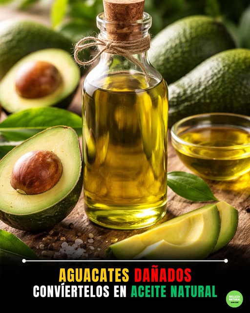 Aguacates dañados y aceite casero