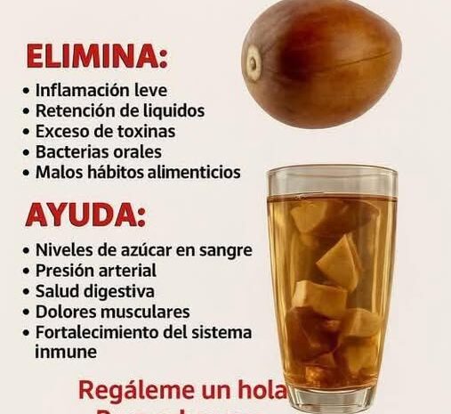 El Secreto de la Semilla de Aguacate para Mejorar tu Salud