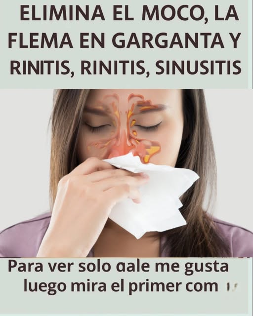 Remedios Caseros para la Salud Respiratoria