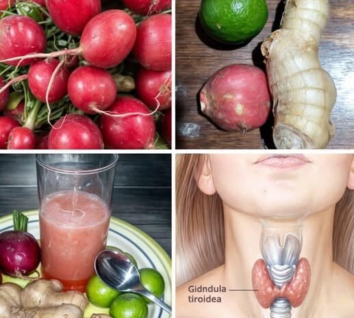 Beneficios de Rábanos Jengibre y Miel para la Salud de Tiroides y Vesícula