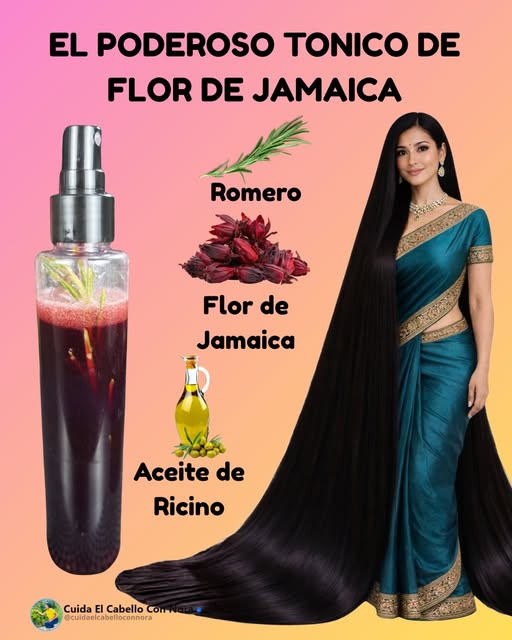 Tónico de Flor de Jamaica