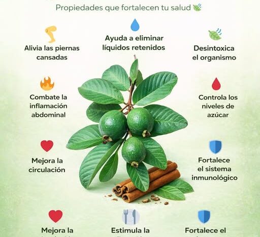 Descubre los Beneficios del Té de Hojas de Guayaba y Canela para tu Salud