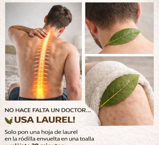 Alivia el Dolor de Rodillas con Hojas de Laurel