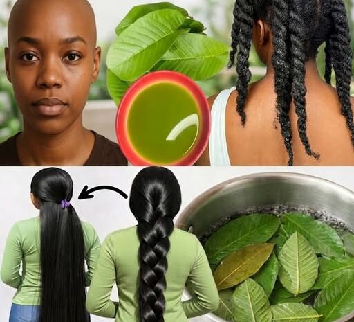 Descubre cómo las hojas de guayaba pueden transformar tu cabello de forma natural