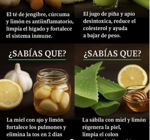 Cuatro Remedios Naturales para Cuidar tu Cuerpo y Mente