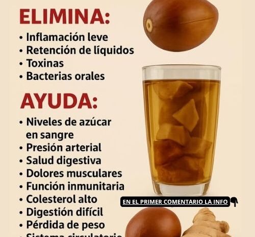 Esta Semilla es un Tesoro: Elimina Enfermedades y Mejora Tu Salud