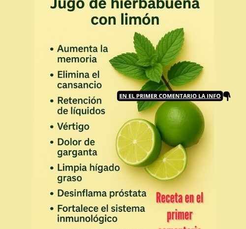 Jugo de Hierbabuena con Limón: La Bebida Milagrosa que Limpia tu Hígado y Combate el Cansancio