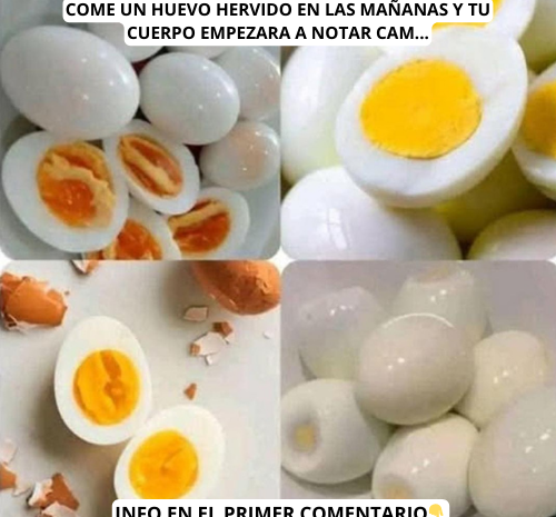 Los Beneficios de Comer Huevos Hervidos en las Mañanas