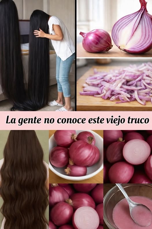 Cebollas rojas
