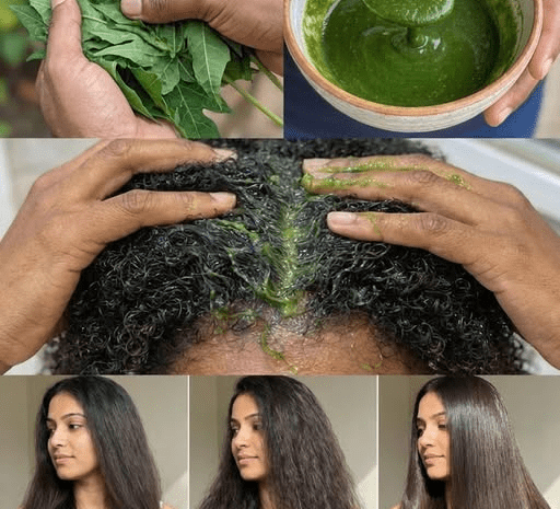 Hojas de Papaya para el Crecimiento del Cabello Métodos Naturales Efectivos