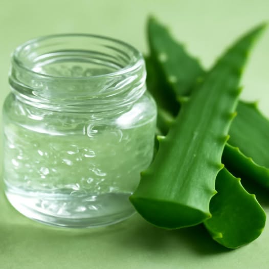 Gel de Aloe Vera Casero