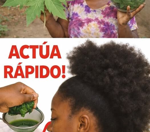 Hojas de Papaya Un Remedio Natural para el Crecimiento Excepcional del Cabello