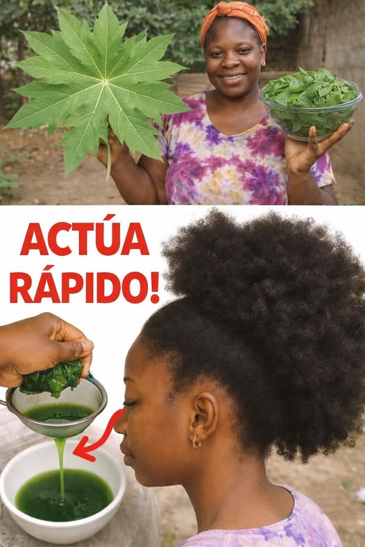 Preparación de Jugo de Hojas de Papaya