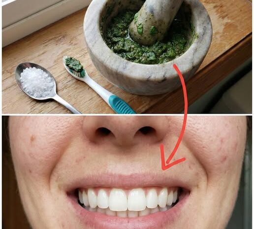 Descubre la Hierba Sagrada que Mejora Tu Sonrisa y Combate las Caries